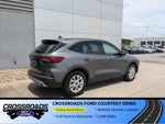 2025 Ford Escape Active - Crossroads Courtesy Demo
