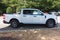 2025 Ford Maverick XLT - Crossroads Courtesy Demo