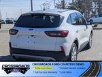 2025 Ford Escape Active - Crossroads Courtesy Demo