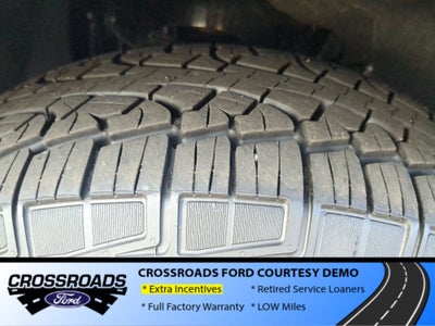 2026 Ford Expedition Max Active - Crossroads Courtesy Demo