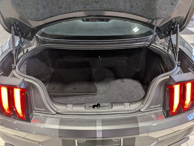 2019 Ford Mustang SHELBY