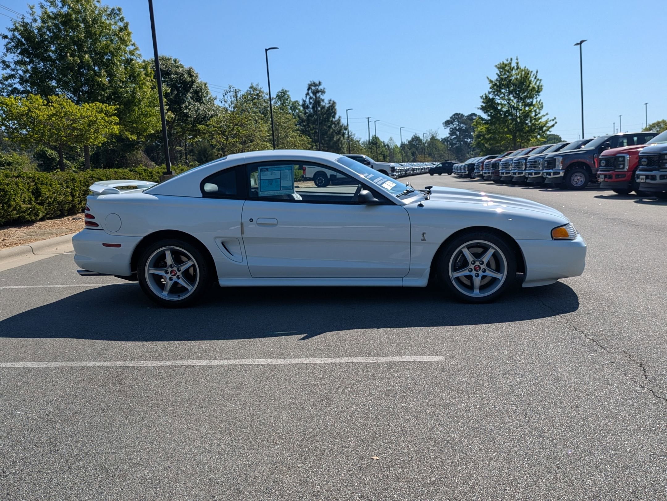 1995 Ford Mustang SVT Cobra R