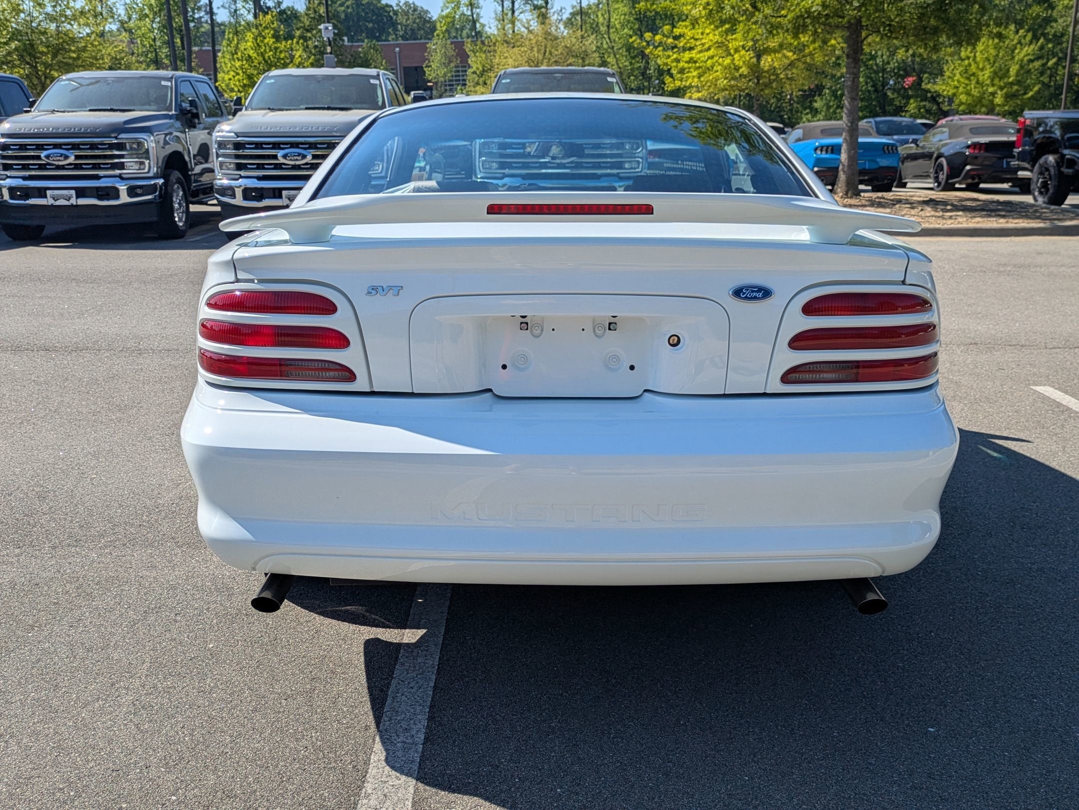 1995 Ford Mustang SVT Cobra R