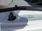 2027 Ford E-Series Cutaway Base
