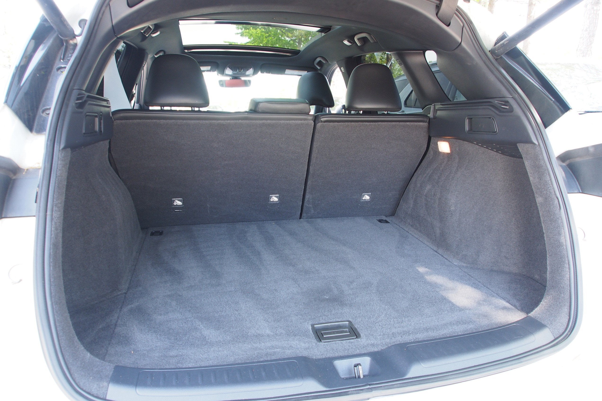 2023 INFINITI QX50 SPORT