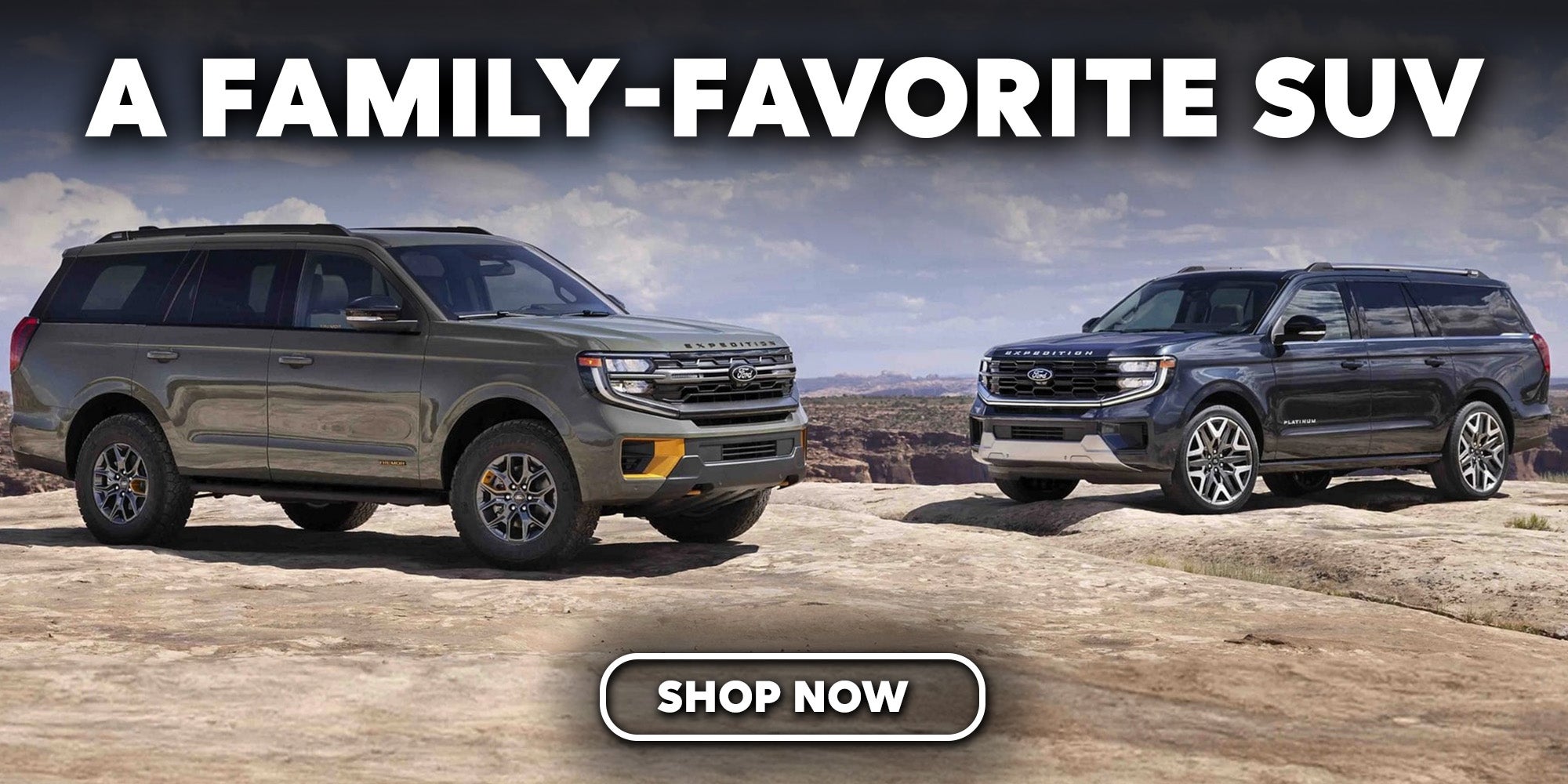 2025 Ford Expedition