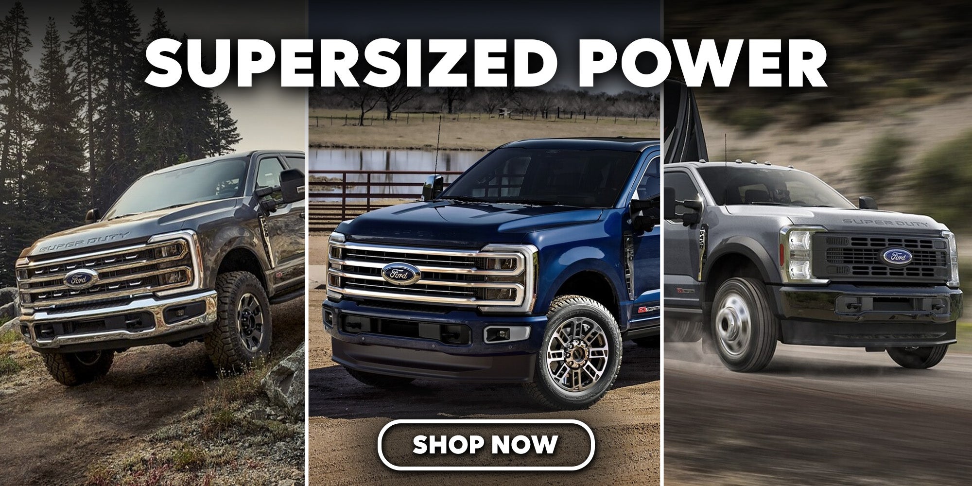 2025 Ford Super Duty Greensboro NC